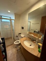 Rafflesia Condominium (D20), Condominium #463194981